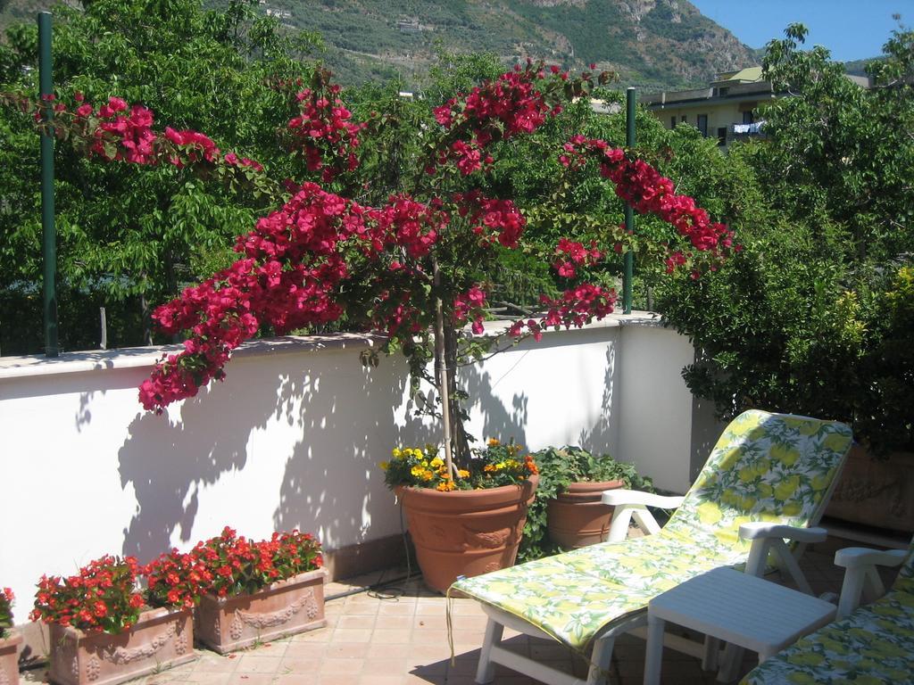 B&B Casa Sorrentino Мета Номер фото